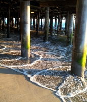 Under the boardwalk