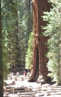 General Sherman