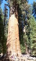 General Sherman