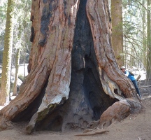 Kay is a tree hugger!