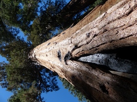 A slightly different perspective