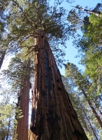 Looking up