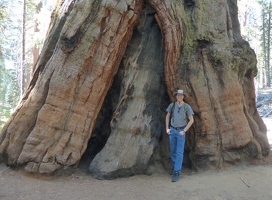 Kevin by giant tree