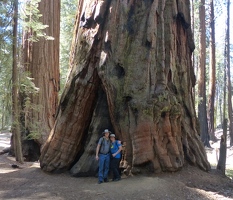 Beetle Rock and Sherman Tree