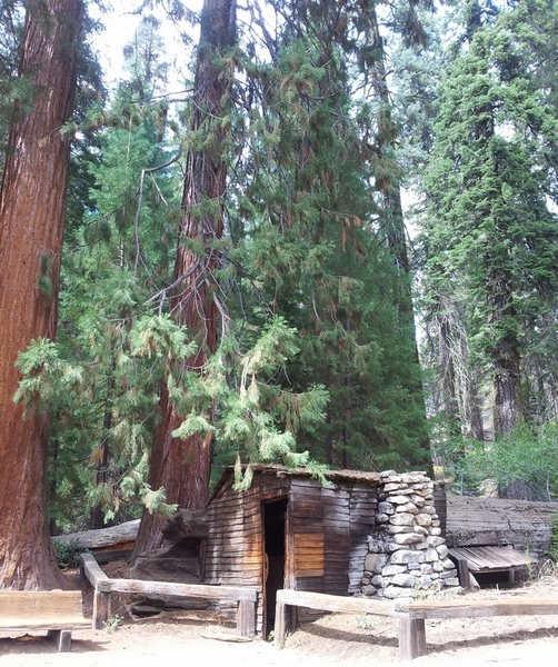 Tharp's Log
