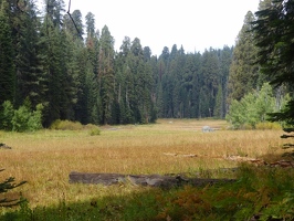 View of Crescent Meadow