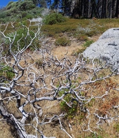 Near Hanging Rock