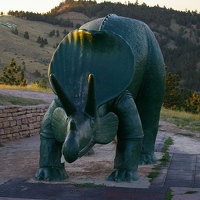 Triceratops