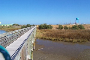 Birding boardwalk