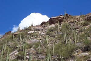 Sabino Canyon