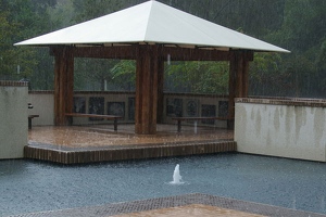 Rain in Compass Rose Park
