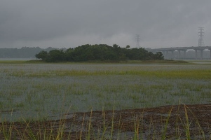 Rainy wildlife preserve
