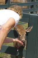 See her pink tongue?