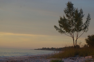 Beach just before sunset