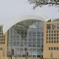 Institute of Peace