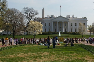 White House
