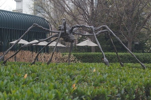Spider by Louise Bourgeois