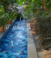 Water feature