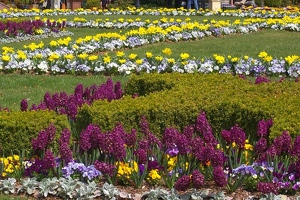 Gardens in front of Smithsonian Castle