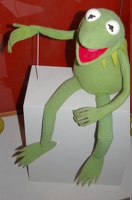 Kermit the frog