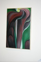 Jack-in-the-Pulpit No. V