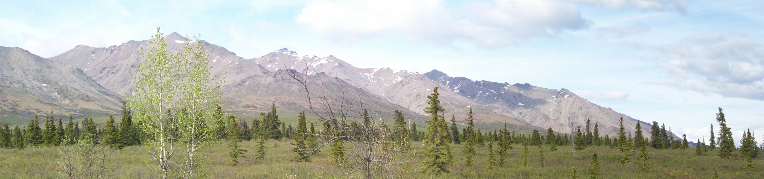 pano3_denali_panoramic_park_view_180.jpg