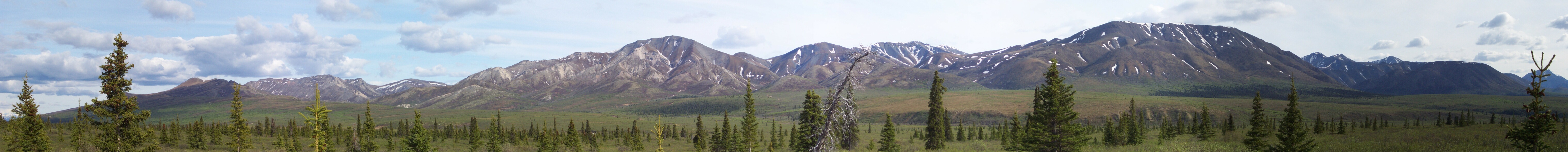 pano6_denali_extreme_panoramic_park_view_180.jpg