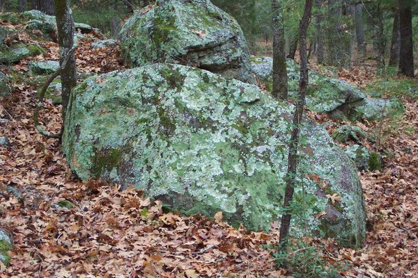 Big rock with lichen