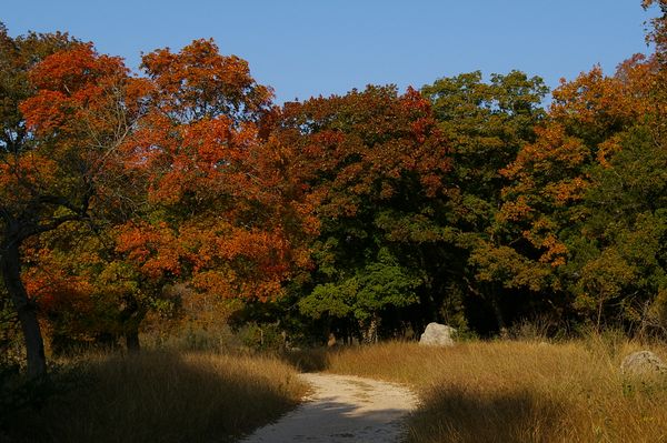 East trail