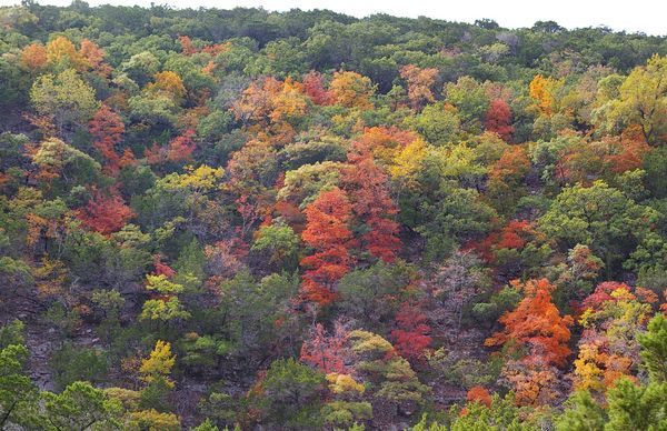 Colorful hillside