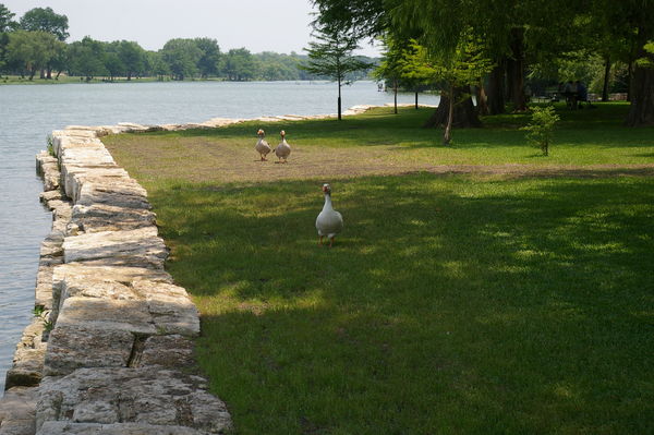 Along the Guadalupe river