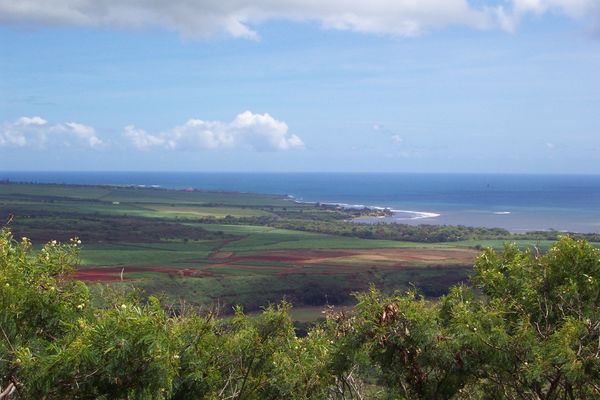 Overlook from Waimea Canyon Drive