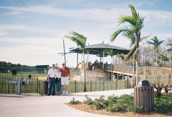 Giraffe-feeding platform