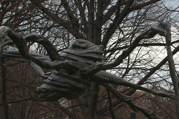 Spider by Louise Bourgeois